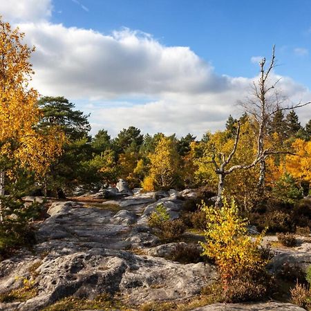 Duplex Charm Fontainebleau Lägenhet Exteriör bild