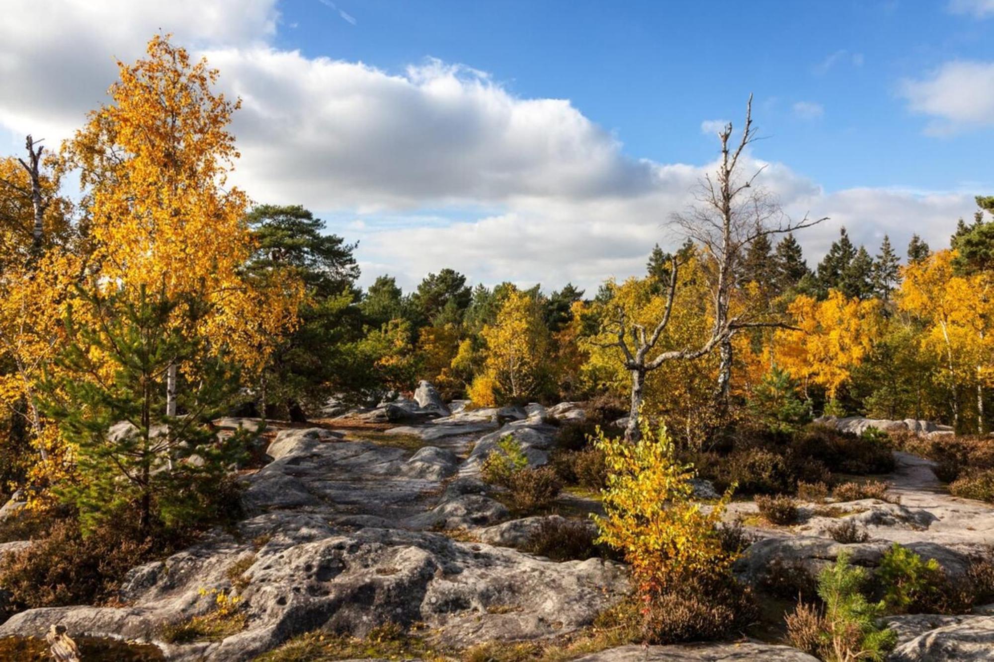 Duplex Charm Fontainebleau Lägenhet Exteriör bild